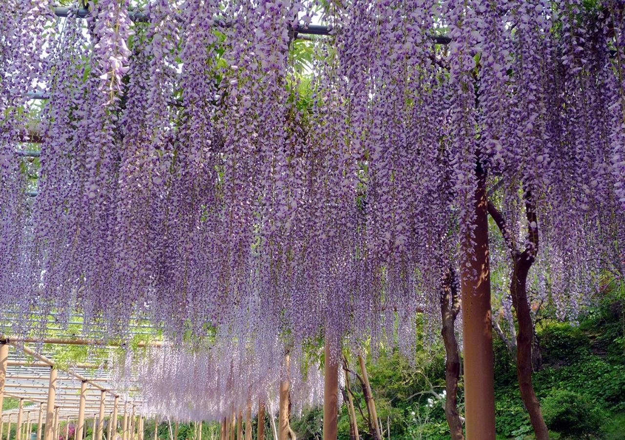 Hotel Wellseason Hamanako Hamamatsu Exterior foto